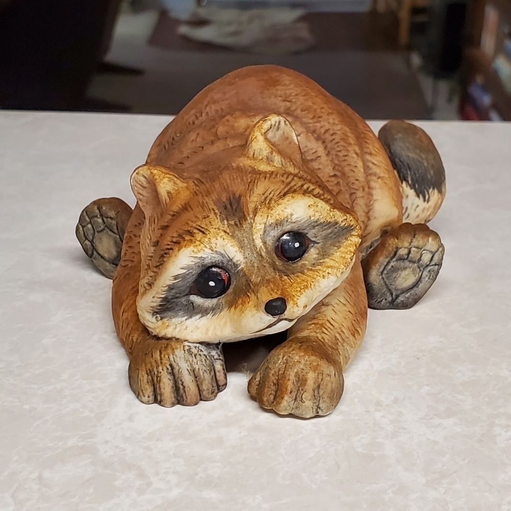 Alfred the Baby Raccoon The Wildlife Series The Baby Animal Collection